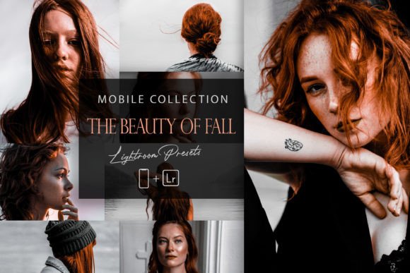 Download 12 Mobile Lightroom, the Beauty  of Fall - Mobile Collection