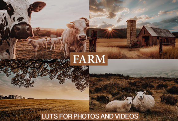 Download Desktop and Mobile Lightroom Presets - Mobile Collection