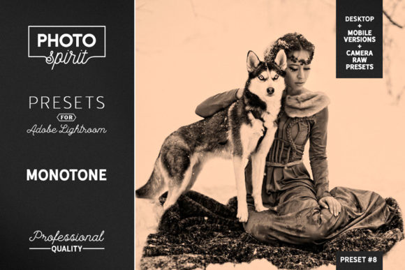 Download Monotone LR Presets Mobile + Desktop - Mobile Collection